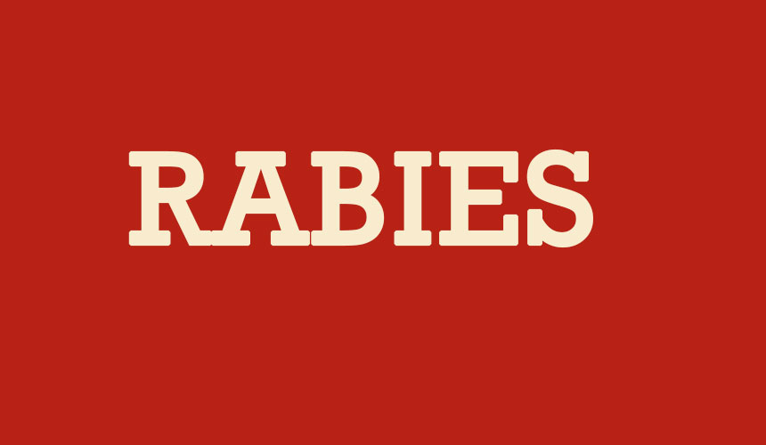 Rabies Awareness — Understanding the Risk and  Acting Quickly
